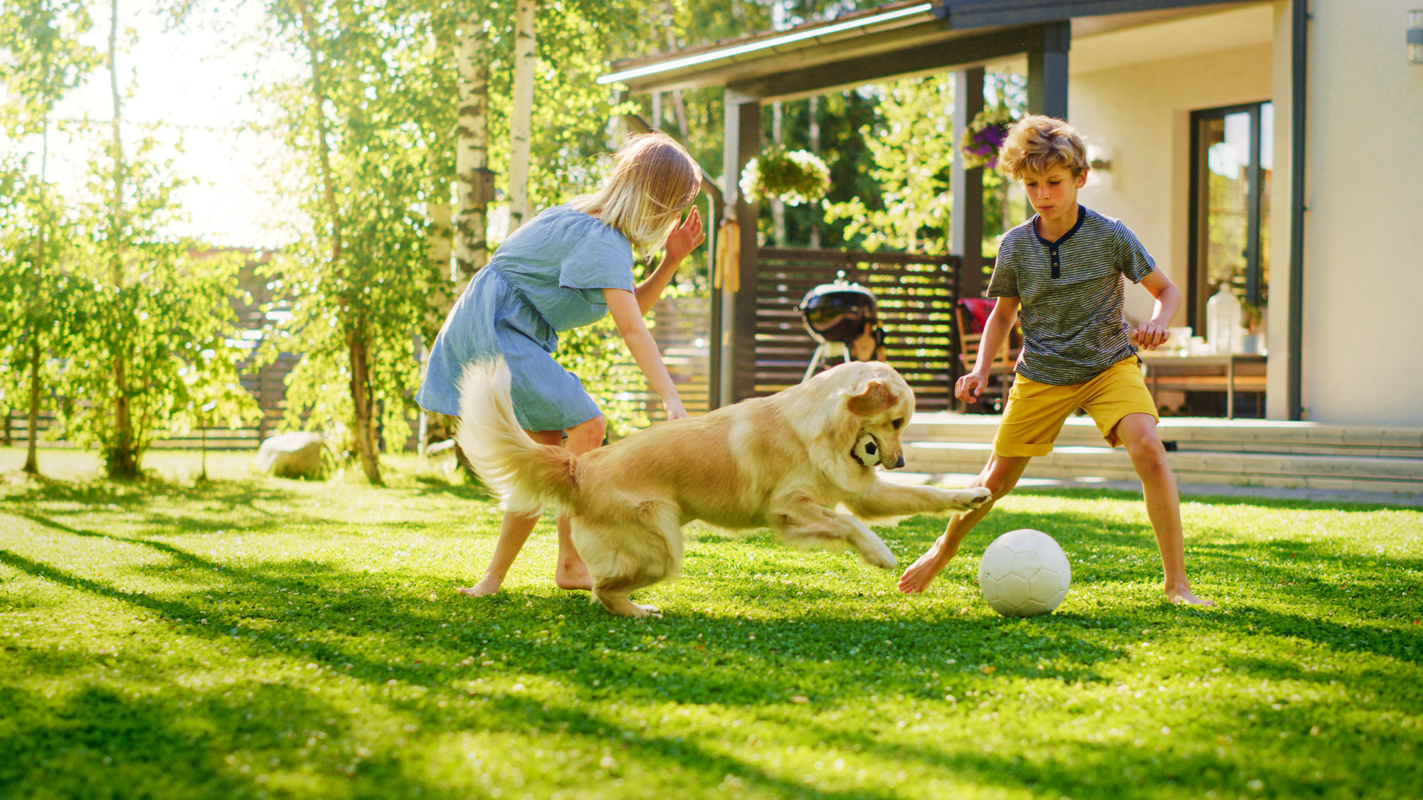 kids playing with dog